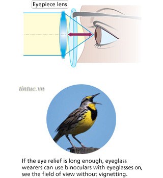 Khoảng cách mắt - tiêu chí chọn ống nhòm cho người có tật ở mắt